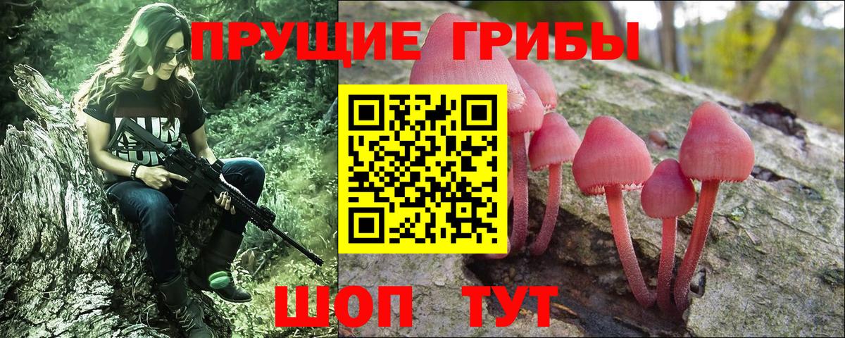 Вятские Поляны  где можно купить наркотик  Вход с VPN  Псилоцибиновые грибы Magic Shrooms 