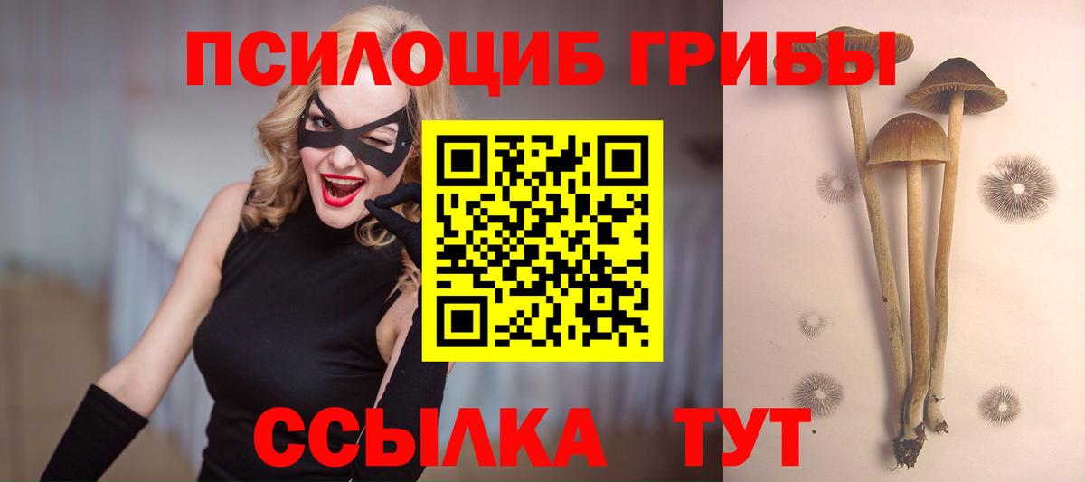 Псилоцибиновые грибы Psilocybine cubensis Вятские Поляны