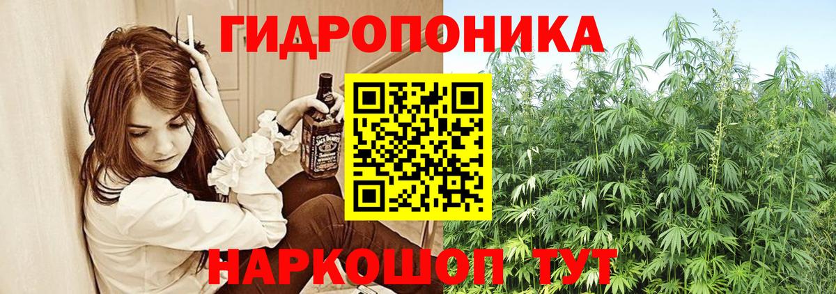 Конопля OG Kush Вятские Поляны